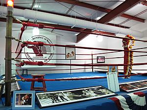 Inside of the IBHOF