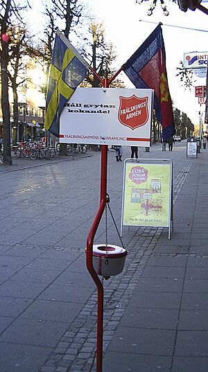 Julgryta