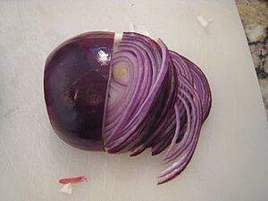 Julienned red onion4peruvianceviche