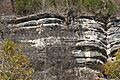 Kentucky River Palisades Close up