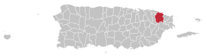 Map of Puerto Rico highlighting Río Grande Municipality