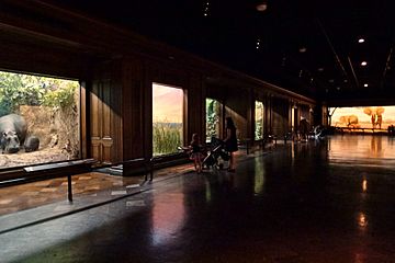 Los Angeles County Museum of Natural History - Hall of African Mammals
