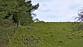 Margam Park, Danish Camp