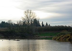 Mission Creek at St. Paul - Oregon.JPG