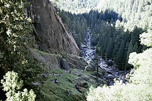 Mist trail 1983