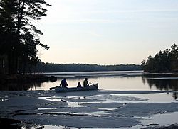 Muskoka canoe 2