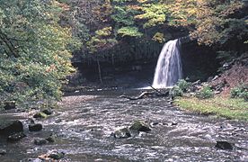 Neath Waterfall