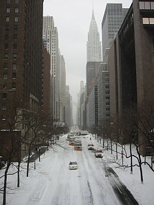 Nyc snow 2003 1