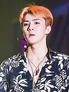 Oh Se-hun at Show! Music Core on July 24, 2017 (7)