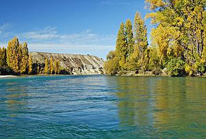 On the Clutha River at Albert Town