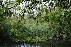 Oughtonhead Nature Reserve 4