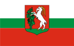 POL Lublin flag