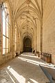 Palencia Cathedral 2023 - Cloister