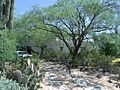 Paradise Vally-Historic Places-Edward L. Jones House-1925-2