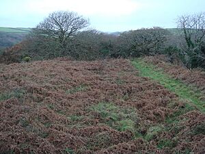 Penstowe Castle near Kilkhampton - geograph.org.uk - 643885