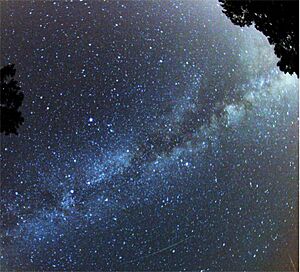 Perseid Meteor