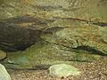 Piney Creek West Site