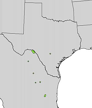 Pistacia texana range map.jpg