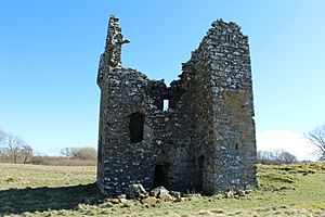 Plunton Castle (geograph 4888980)