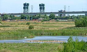 West Water with a mud island in Portrack Marsh Nature Reserve