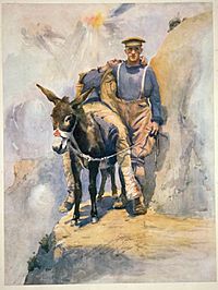 Private Simpson, D.C.M., & his donkey at Anzac