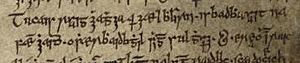 Rǫgnvaldr Guðrøðarson (Dublin Royal Irish Academy MS 23 E 29, page 26)