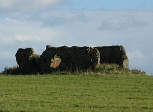 Ruined Chapel on Minsmere Level - geograph.org.uk - 65871