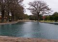 San pedro springs 2011