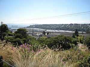 Seattle - former Smith Cove tideflats from Soundview Terrace 01