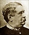 Sir John Terence Nicholls O'Brien (1830-1903)