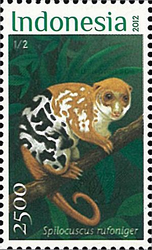 Spilocuscus rufoniger 2012 stamp of Indonesia.jpg