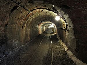 Tar Tunnel, Coalport - geograph.org.uk - 4088229