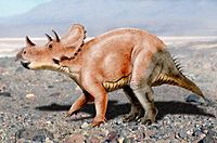Tatankaceratops NT.jpg