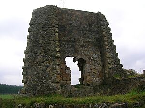 Terringzean Castle seen from the east
