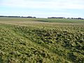 The Avenue, Stonehenge