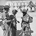 The British Army in Sicily 1943 NA4614
