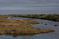Titchwell saltmarsh - geograph.org.uk - 789979