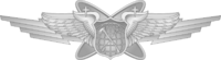 USAF Multi-Domain Warfare Officer Basic.png