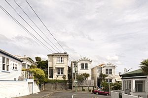 Victorian Tall Houses in Berhampore
