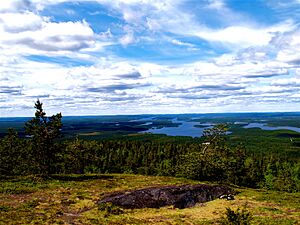 View from Iivaara (170375758)