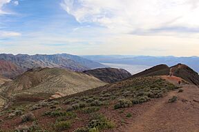 View of Greenwater Valley