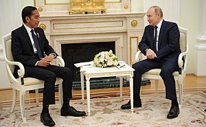 Vladimir Putin and Joko Widodo (2022-06-30)
