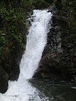 Waterfall 245