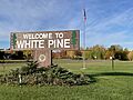 White Pine, Michigan