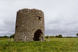 Windmill ruin at Cloghan Beg, Co. Offaly - geograph.org.uk - 644721