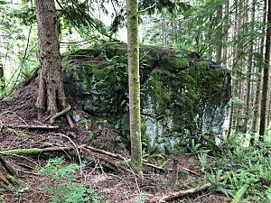 2020-06-08 Tiger Mtn Lone Rock Erratic - from side.jpg
