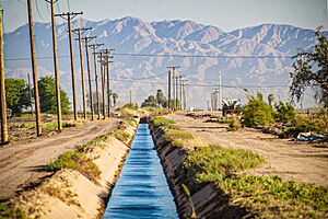 20210515180516 IMG 2448 Canal Imperial Valley