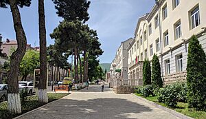 A view of Azatamartikneri (Freedom Fighters') boulevard in Stepanakert