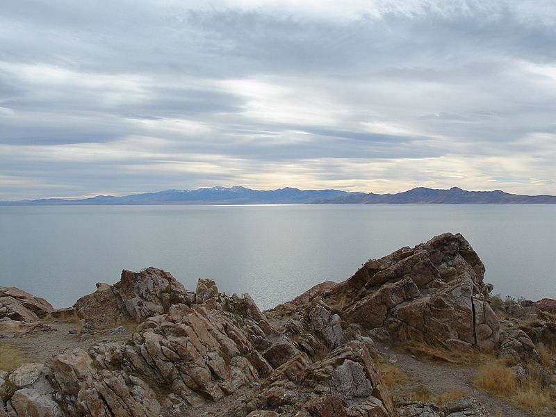 Antelope Island Buffalo Point 2005