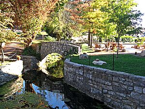 Big Spring in Greeneville